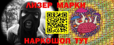 прущие крисы Кингисепп