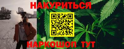 прущие крисы Кингисепп