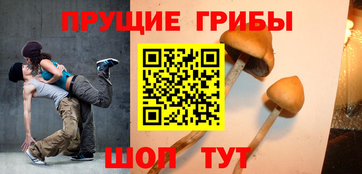 Псилоцибиновые грибы GOLDEN TEACHER Георгиевск