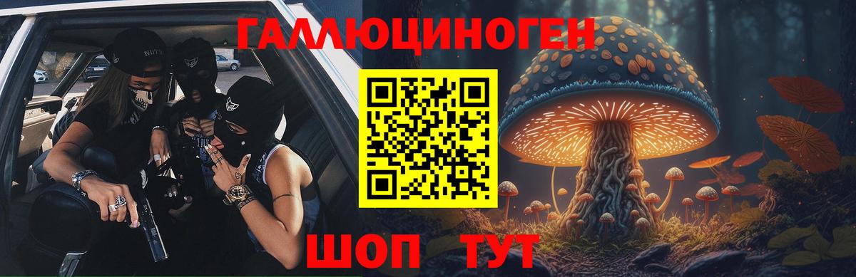 Георгиевск  закладка  Вход с VPN  Псилоцибиновые грибы прущие грибы 